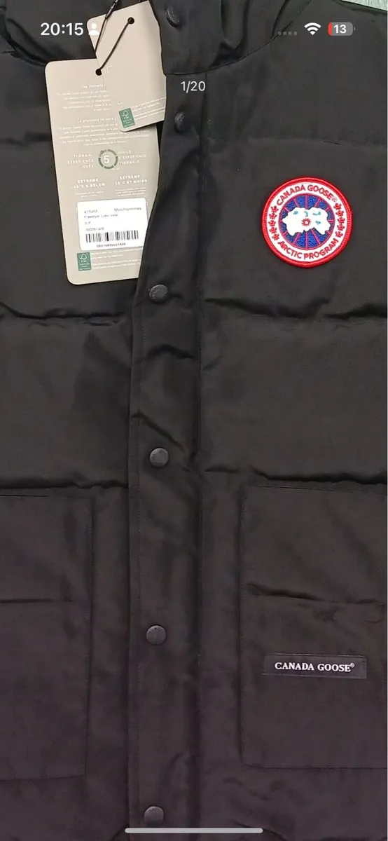 Canada goose