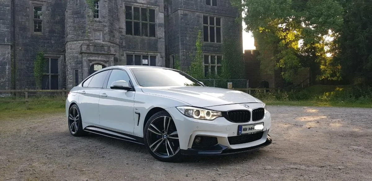 BMW 4 Series M-Sport M-Performance Manual - Image 1