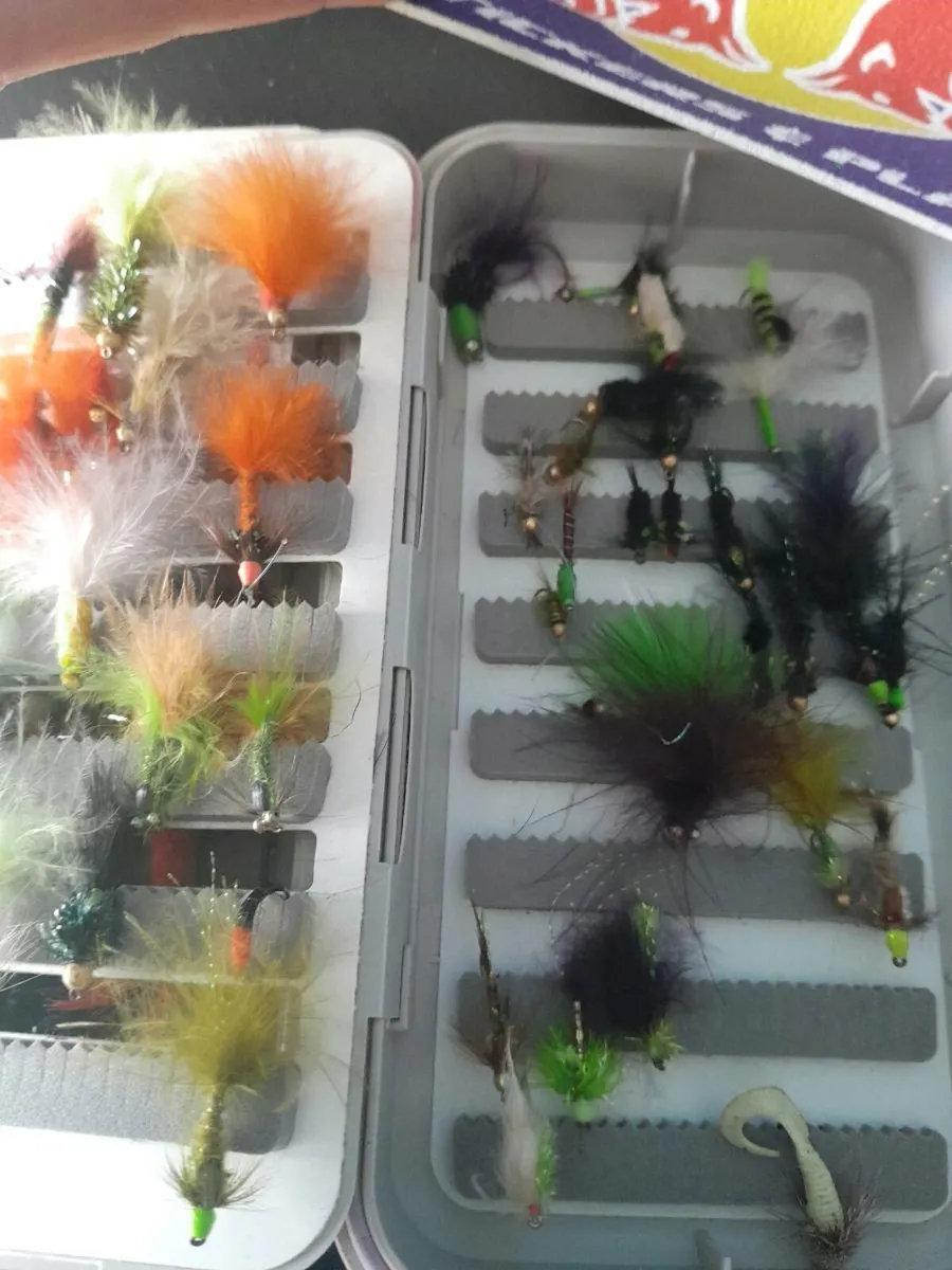 Fly - Image 3