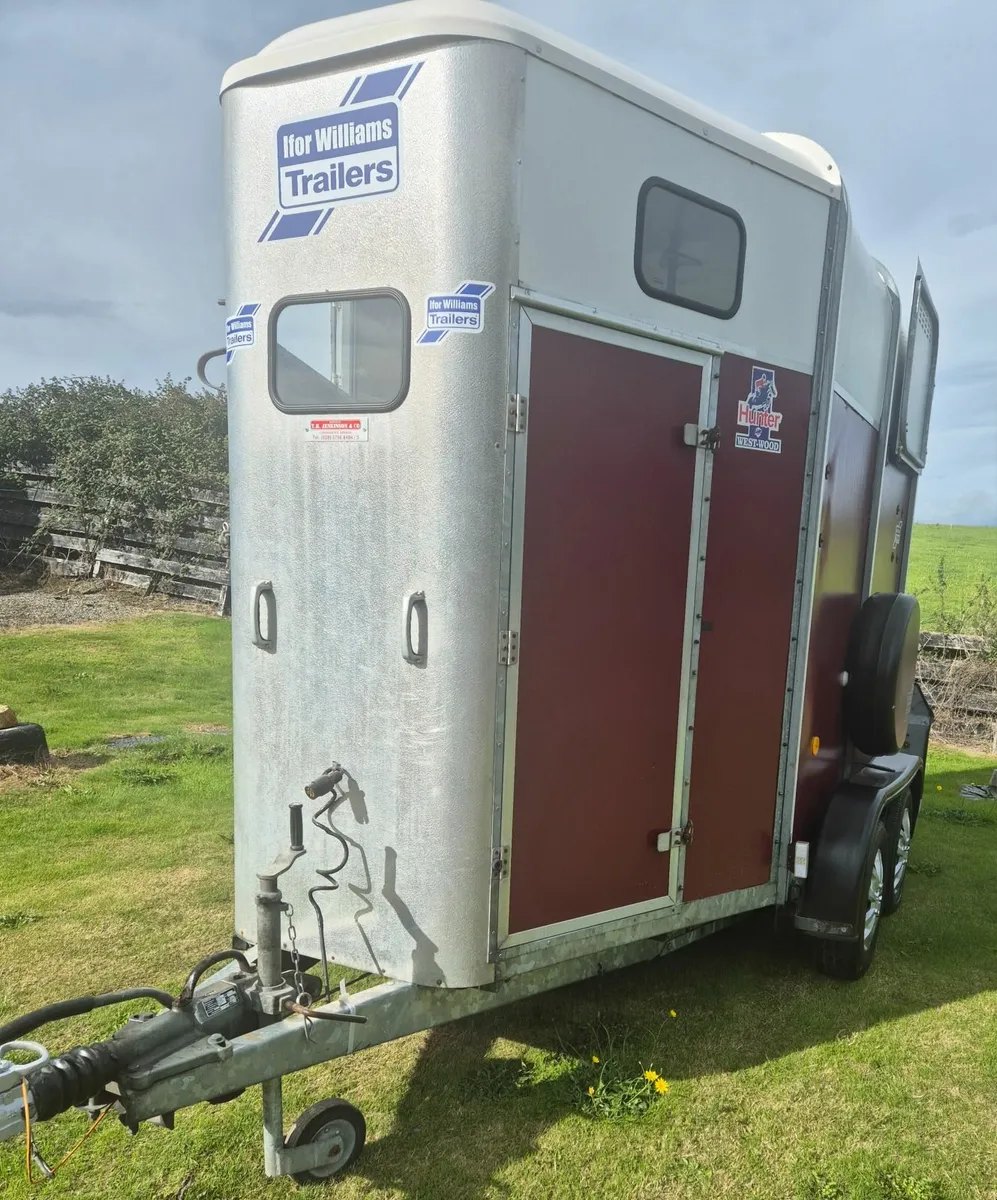 Ifor williams 505 delux horse box - Image 4
