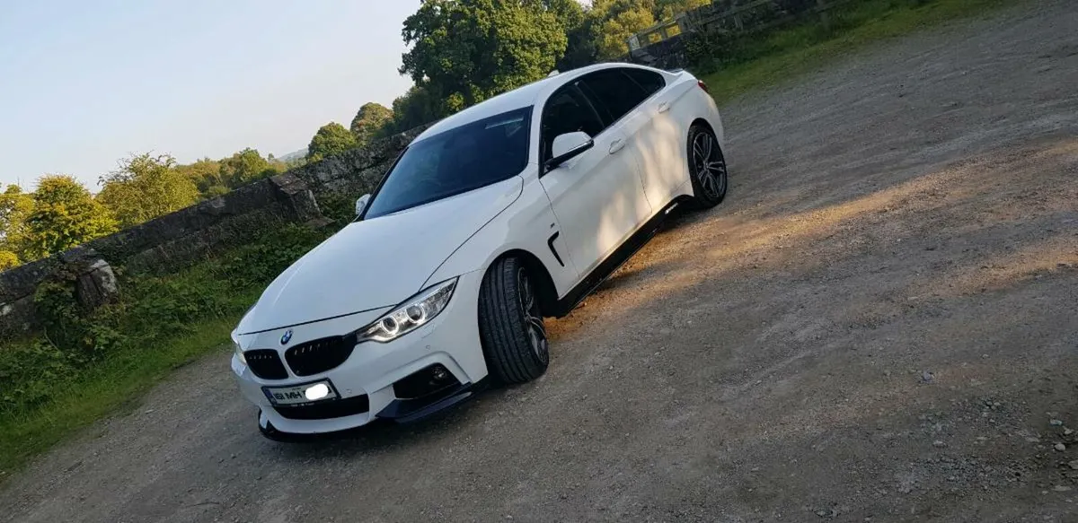 BMW 4 Series M-Sport M-Performance Manual - Image 2