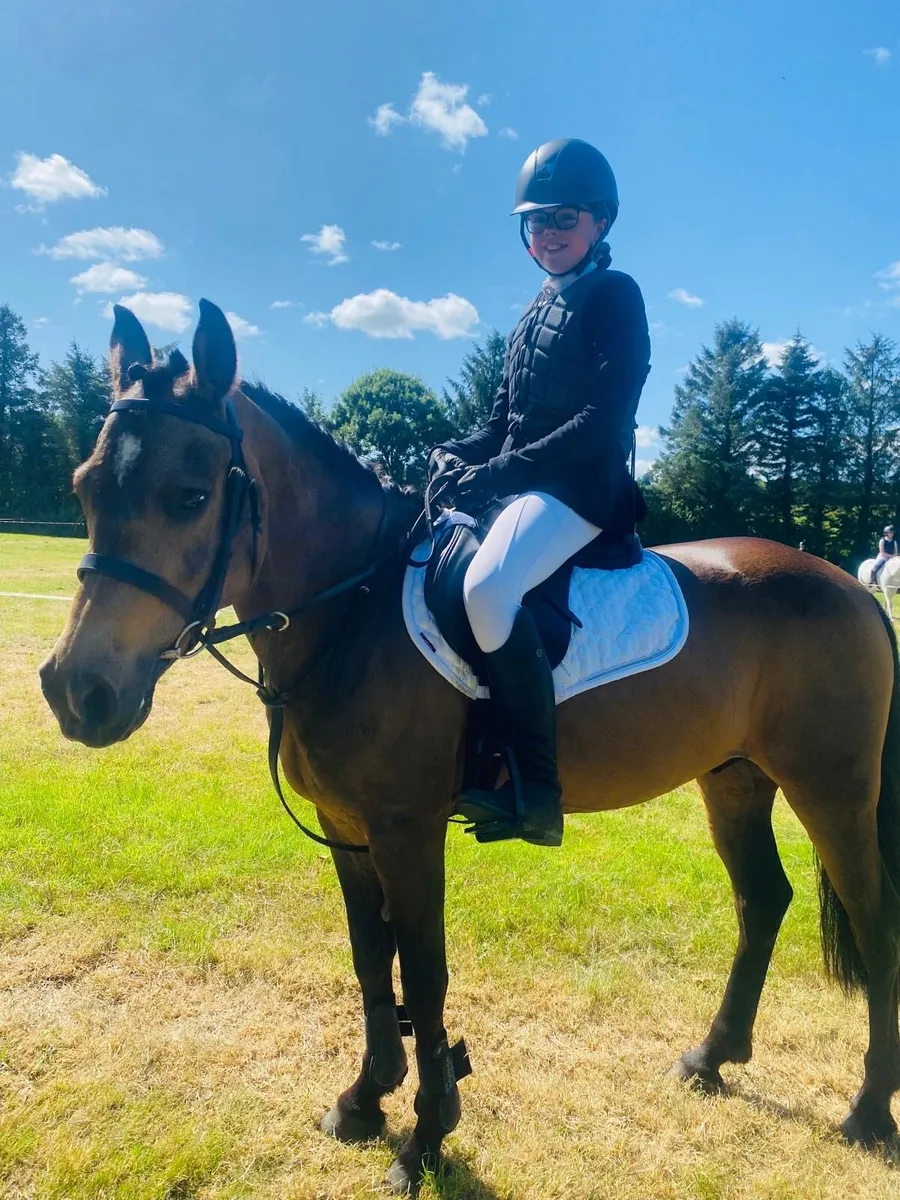 Grade A 138cm Gelding Pony - Image 3