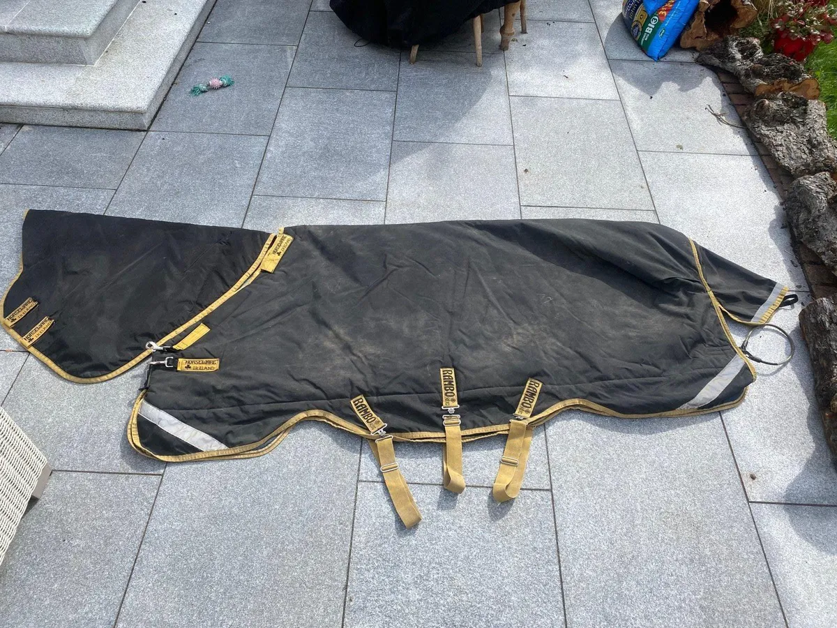 Rambo horse rug, 7ft, 450g, Horsewear of Ireland - Image 1