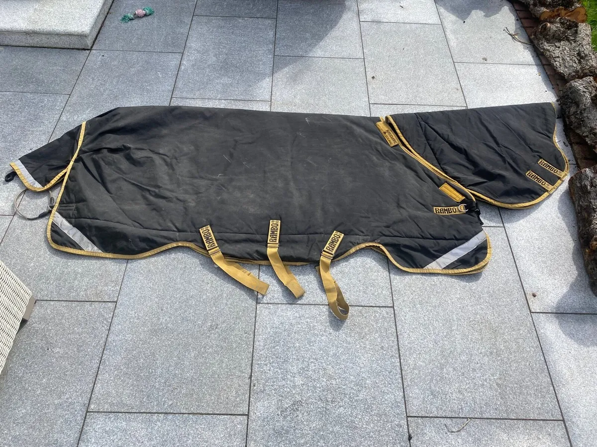 Rambo horse rug, 7ft, 450g, Horsewear of Ireland - Image 2