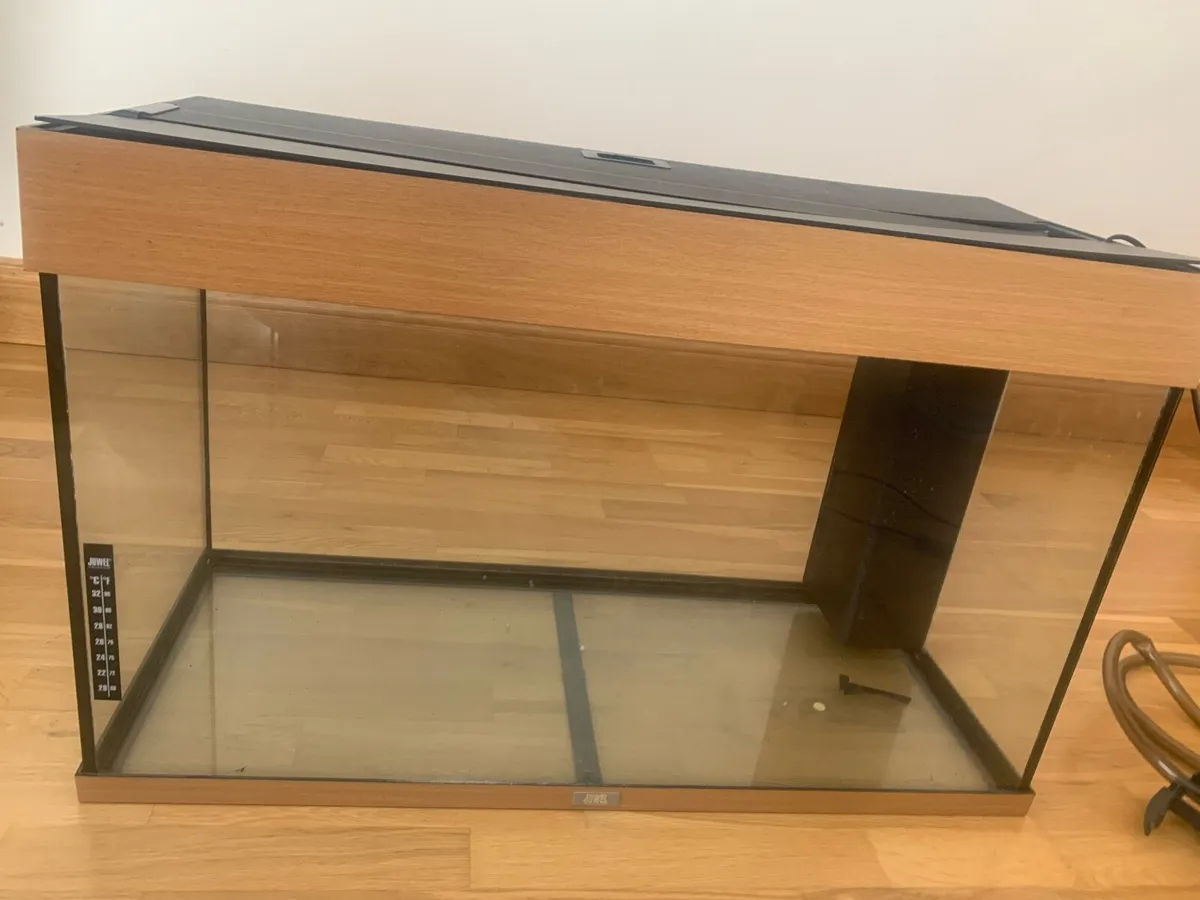 Fish tank - Image 2