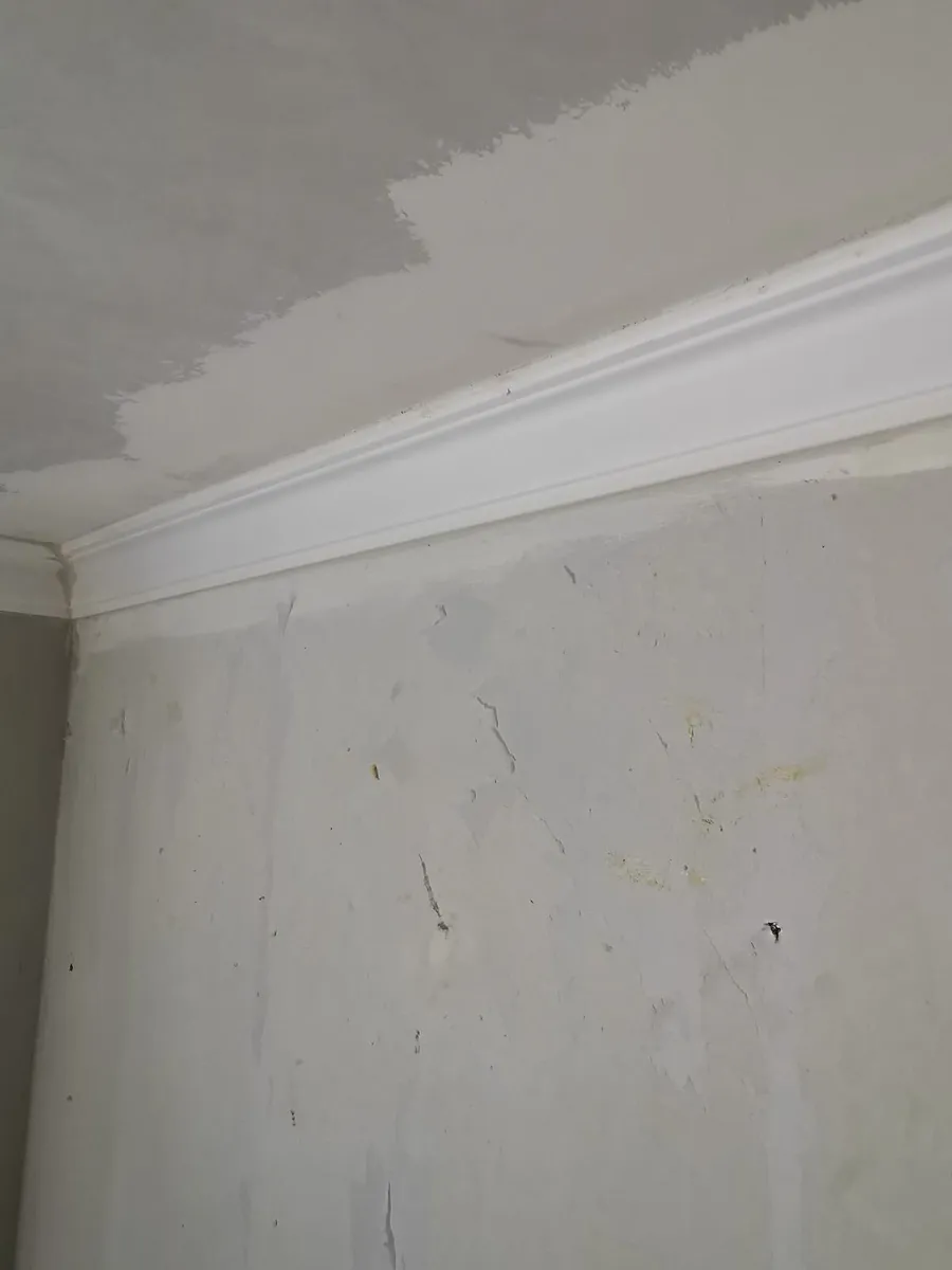Coving - Image 3
