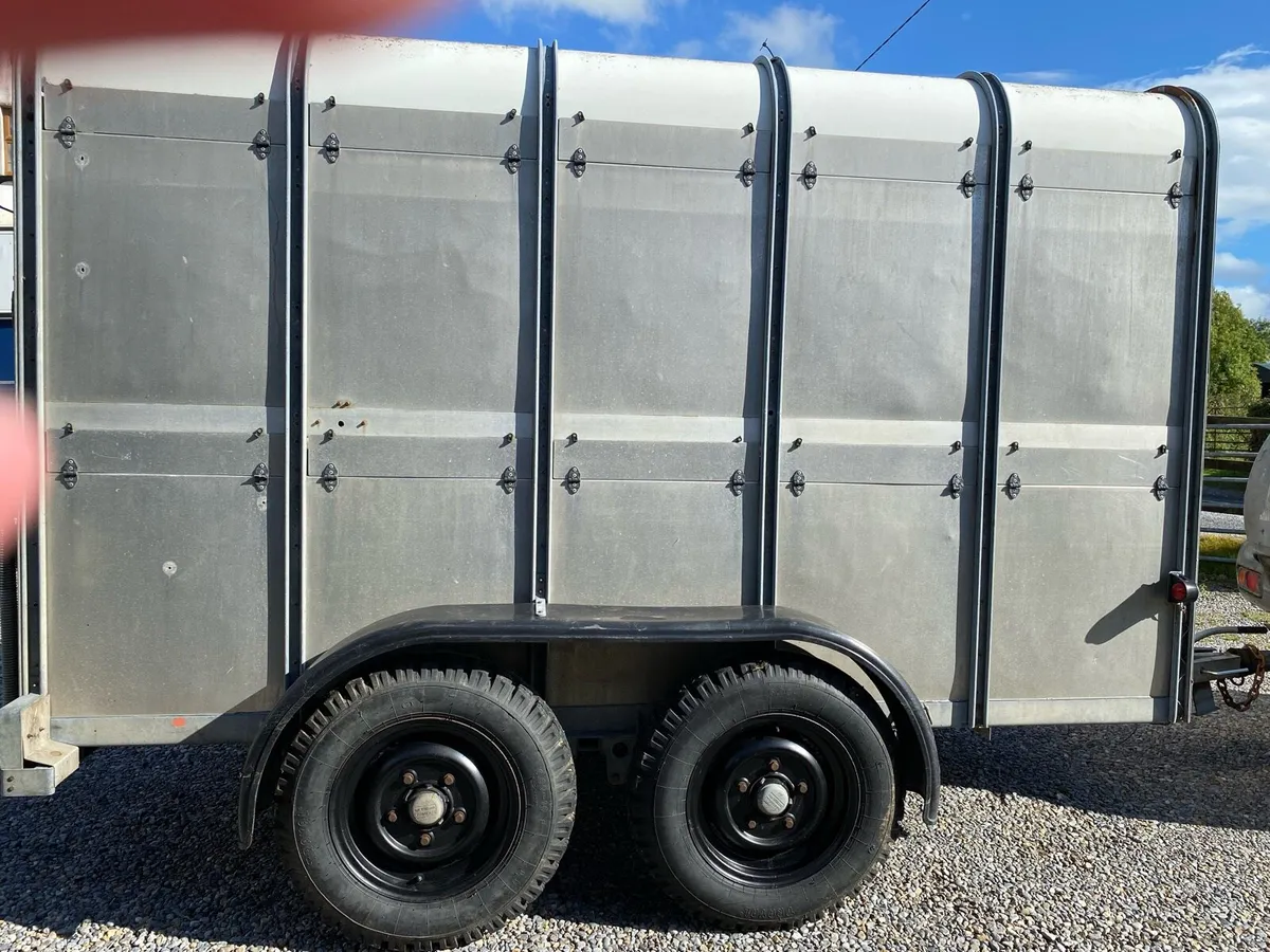 Iforwilliams 10 x 5 cattle box - Image 2