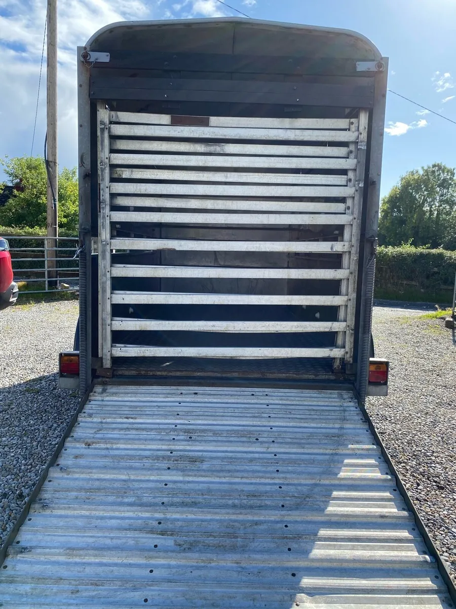 Iforwilliams 10 x 5 cattle box - Image 4