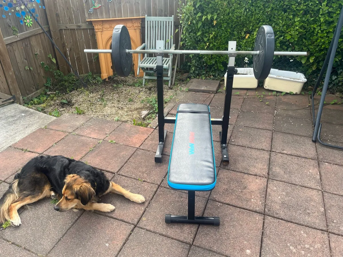 Gym Equipment - Image 2