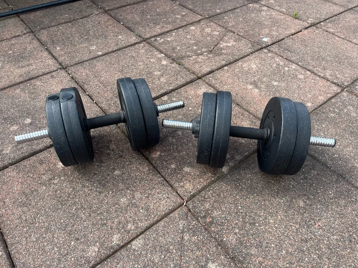 Gym Equipment - Image 4