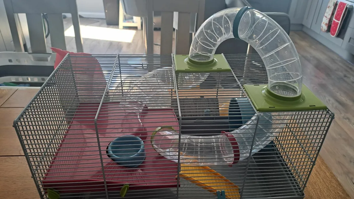 Hamster Cage