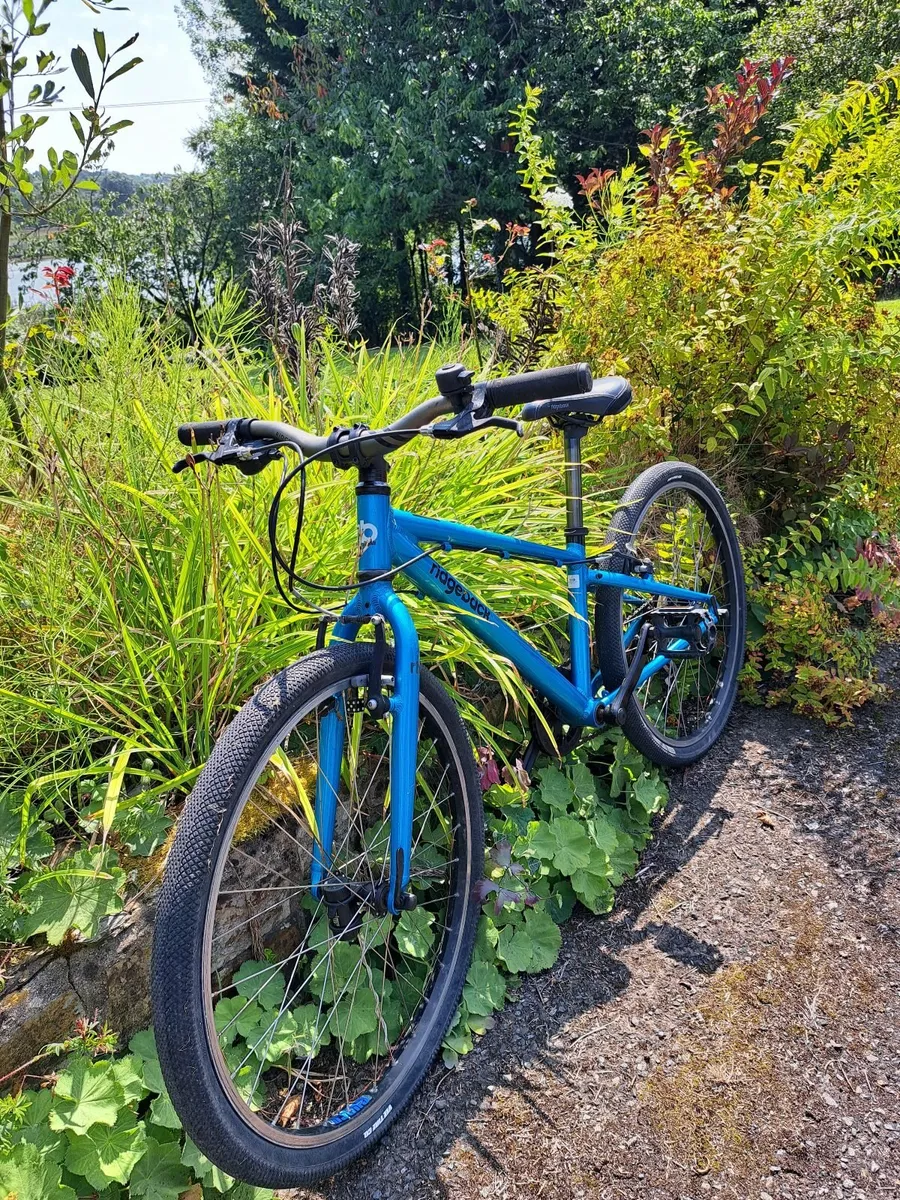 Kids bike - Image 2