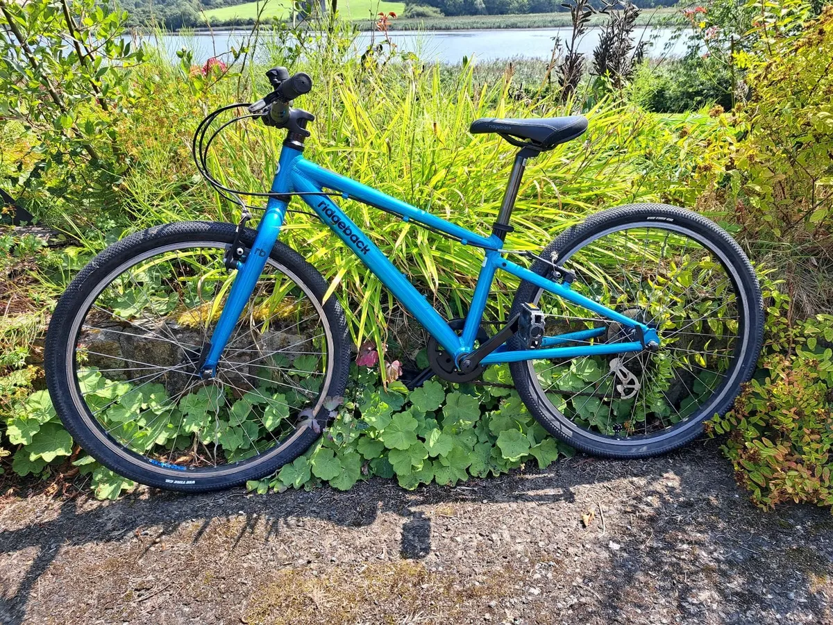 Kids bike - Image 1