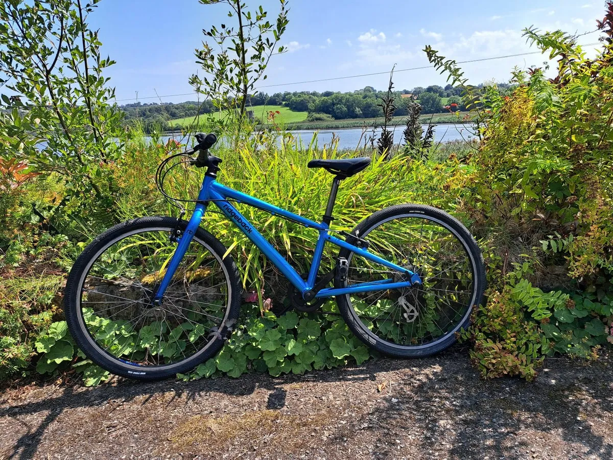 Kids bike - Image 3