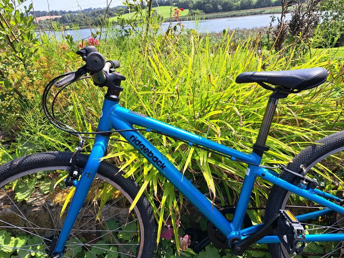 Kids bike - Image 4