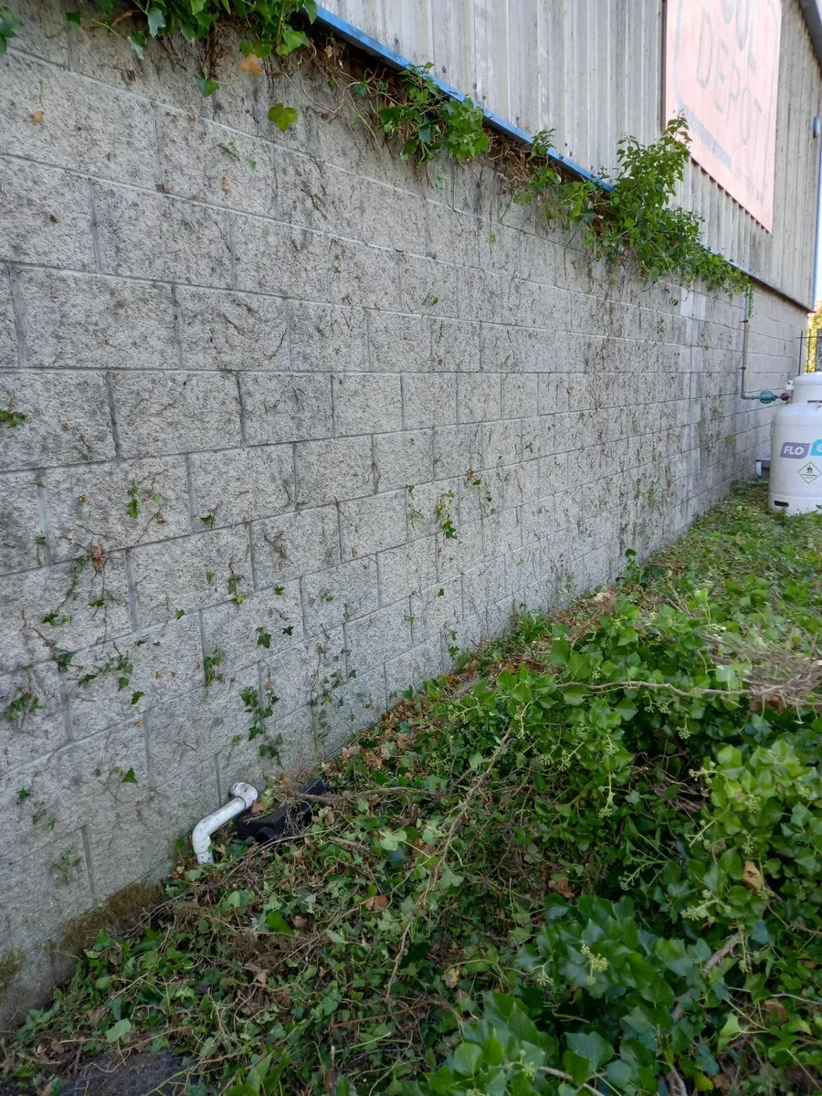 Property Maintenance Services - Image 4