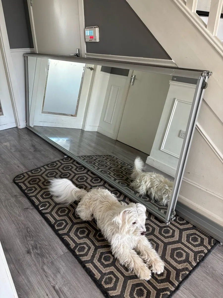 Sliderobes Doors & rails - Image 1