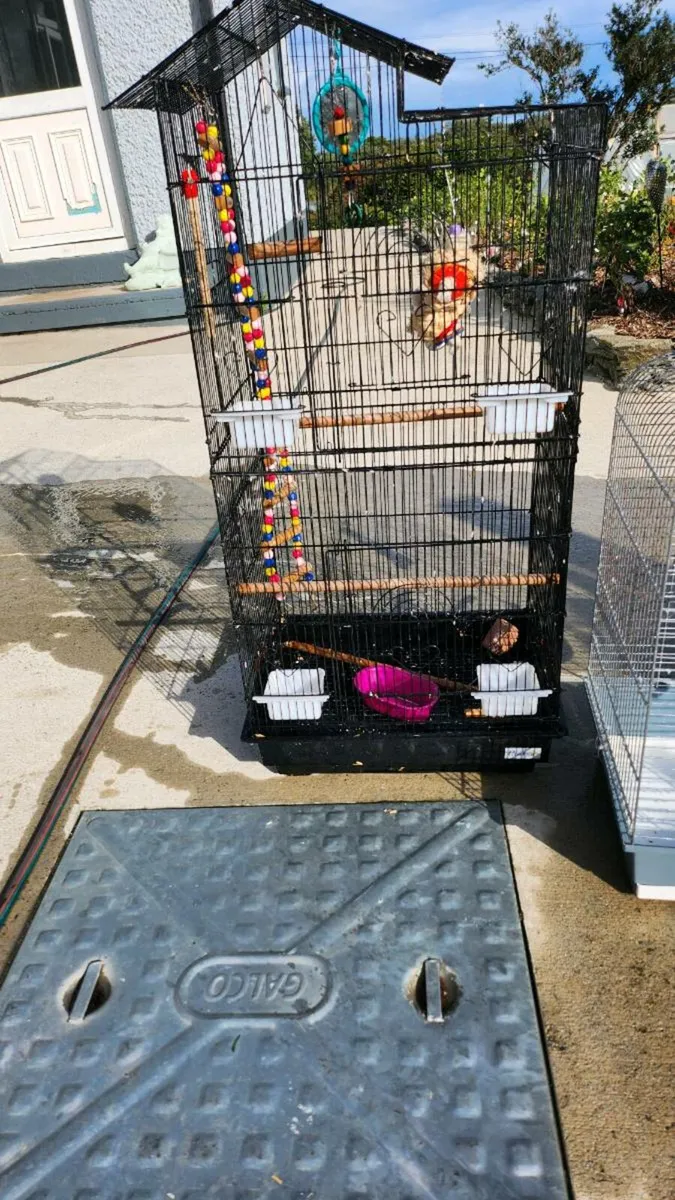 Bird cage - Image 1