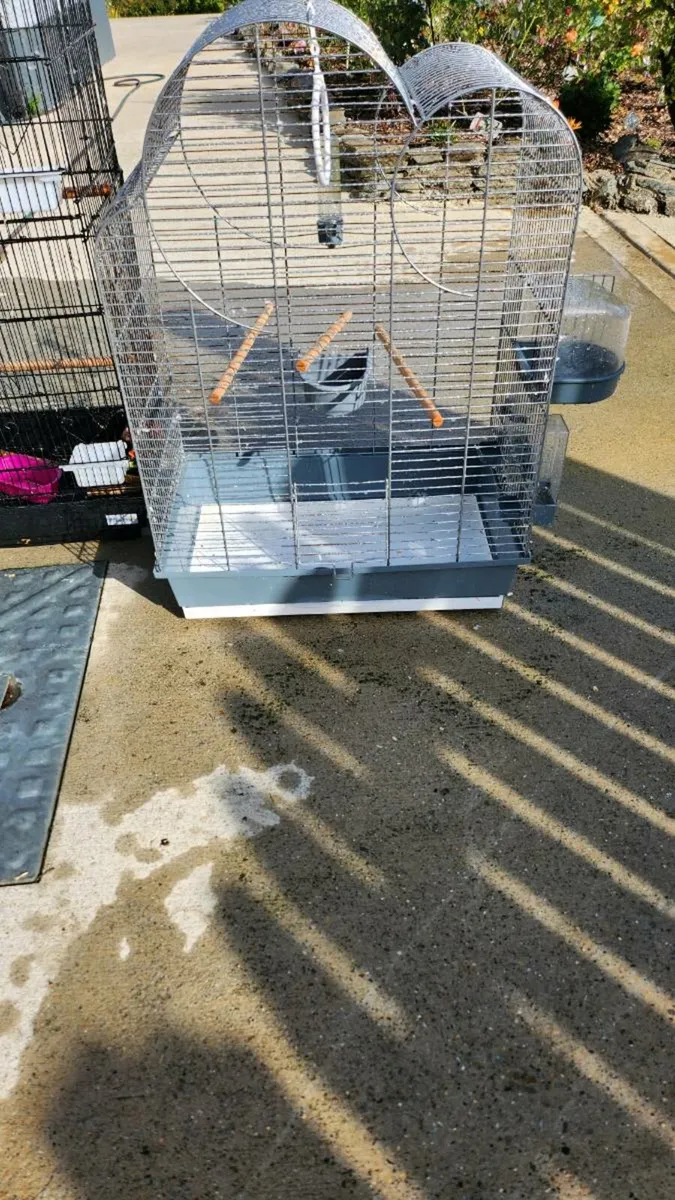 Bird cage - Image 2
