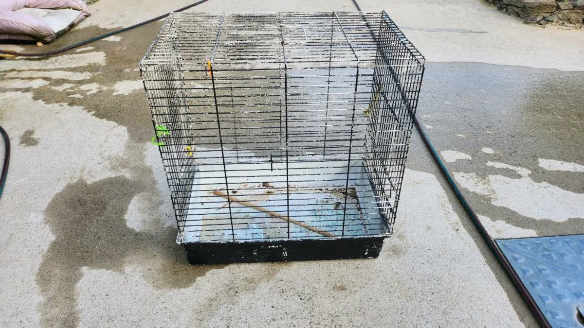 Bird cage - Image 3