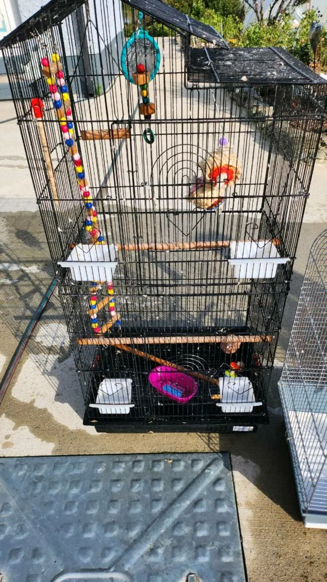 Bird cages - Image 2