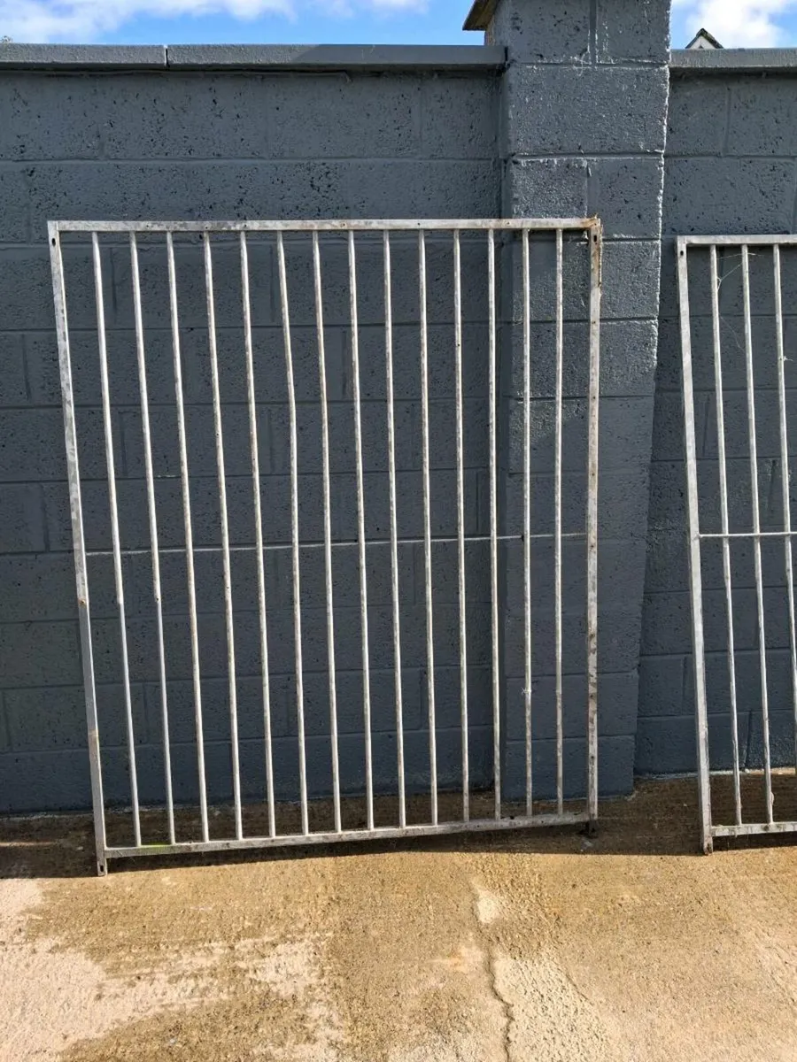 Dog pen - Image 4
