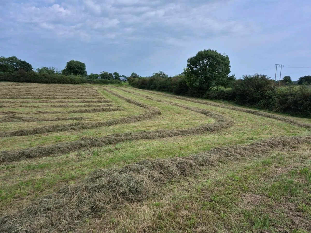 Square bales of Haylage, hay and straw - Image 2