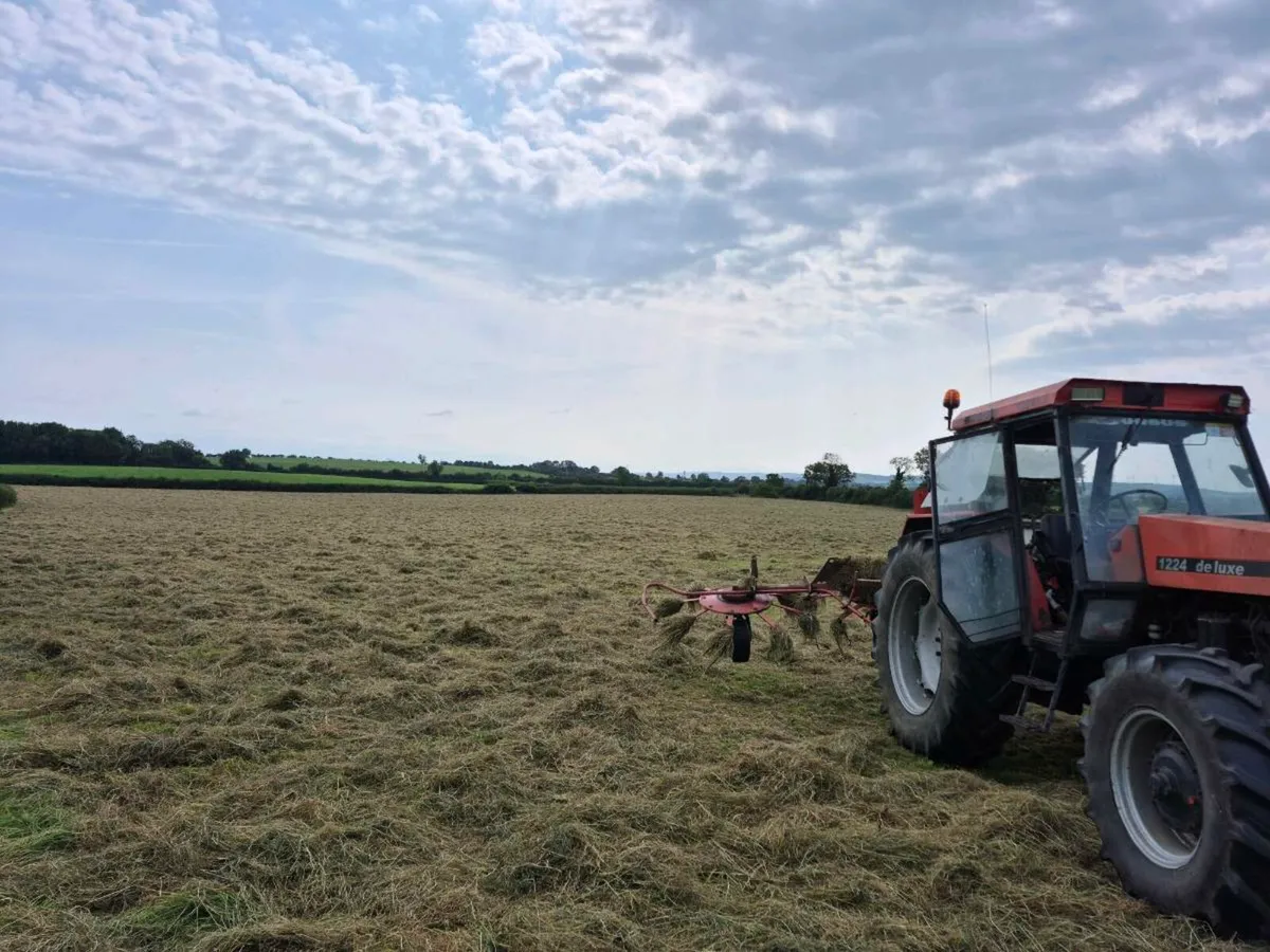 Square bales of Haylage, hay and straw - Image 3