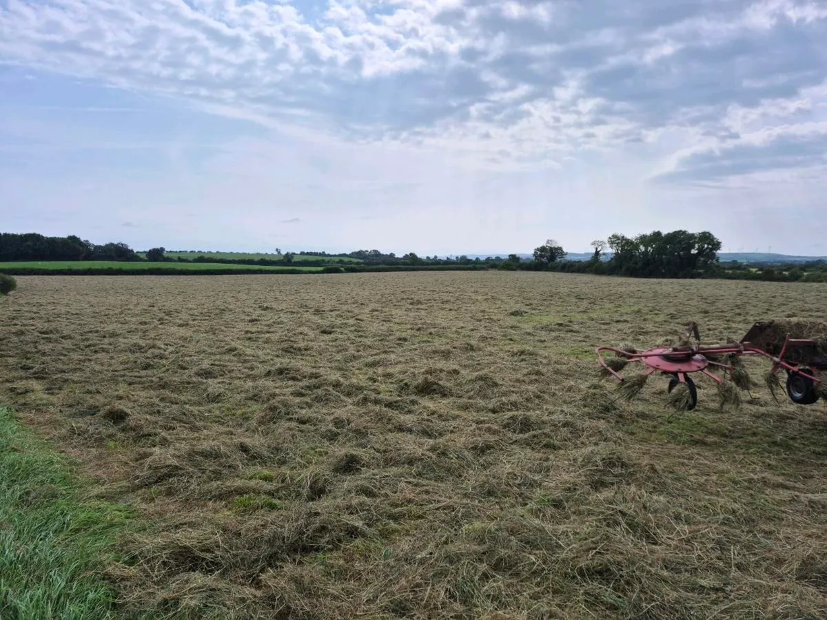 Square bales of Haylage, hay and straw - Image 4
