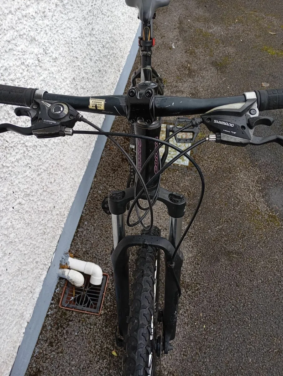 Careera Bike - Image 2