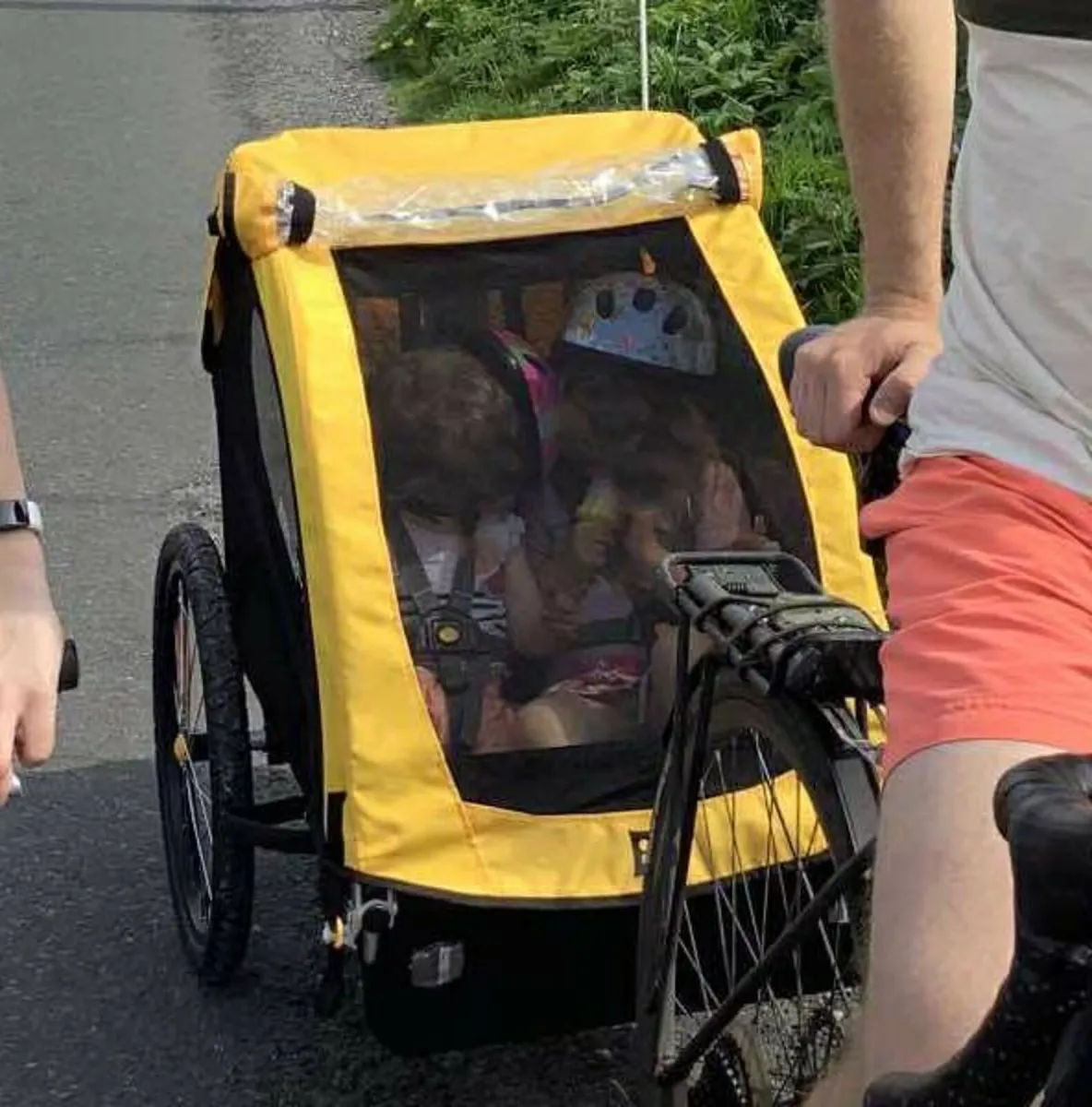 Bike Trailer Burley Bee Two Seater 2-Seater - Image 1