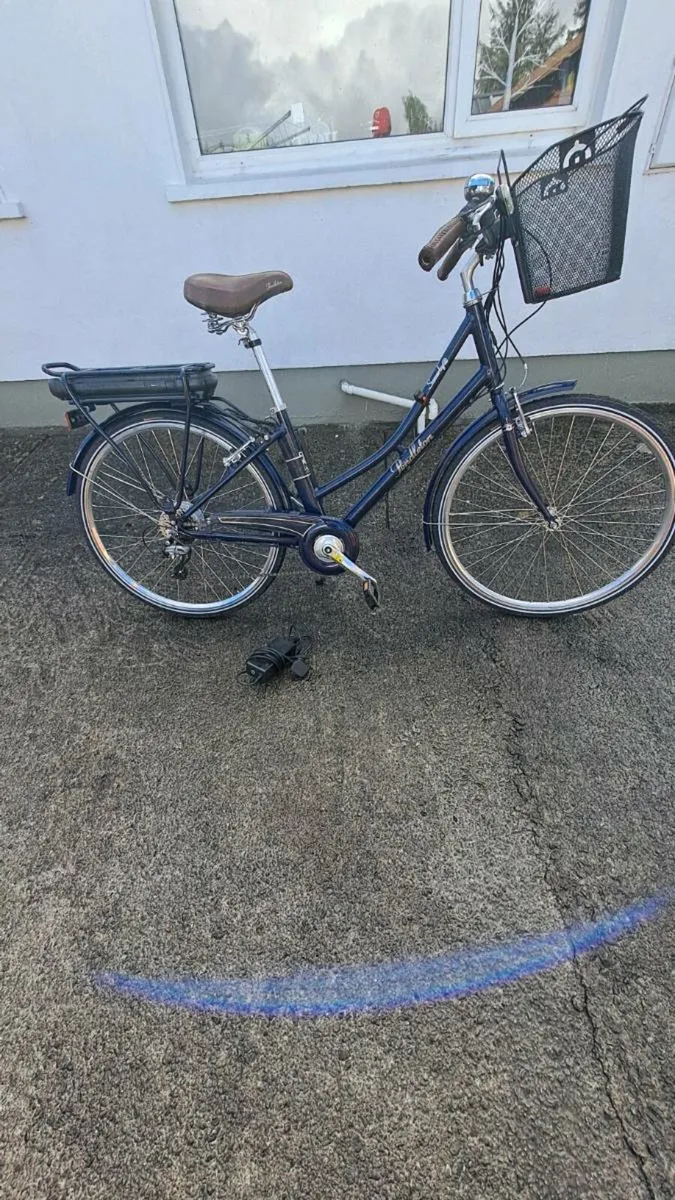 Ebike - Image 1