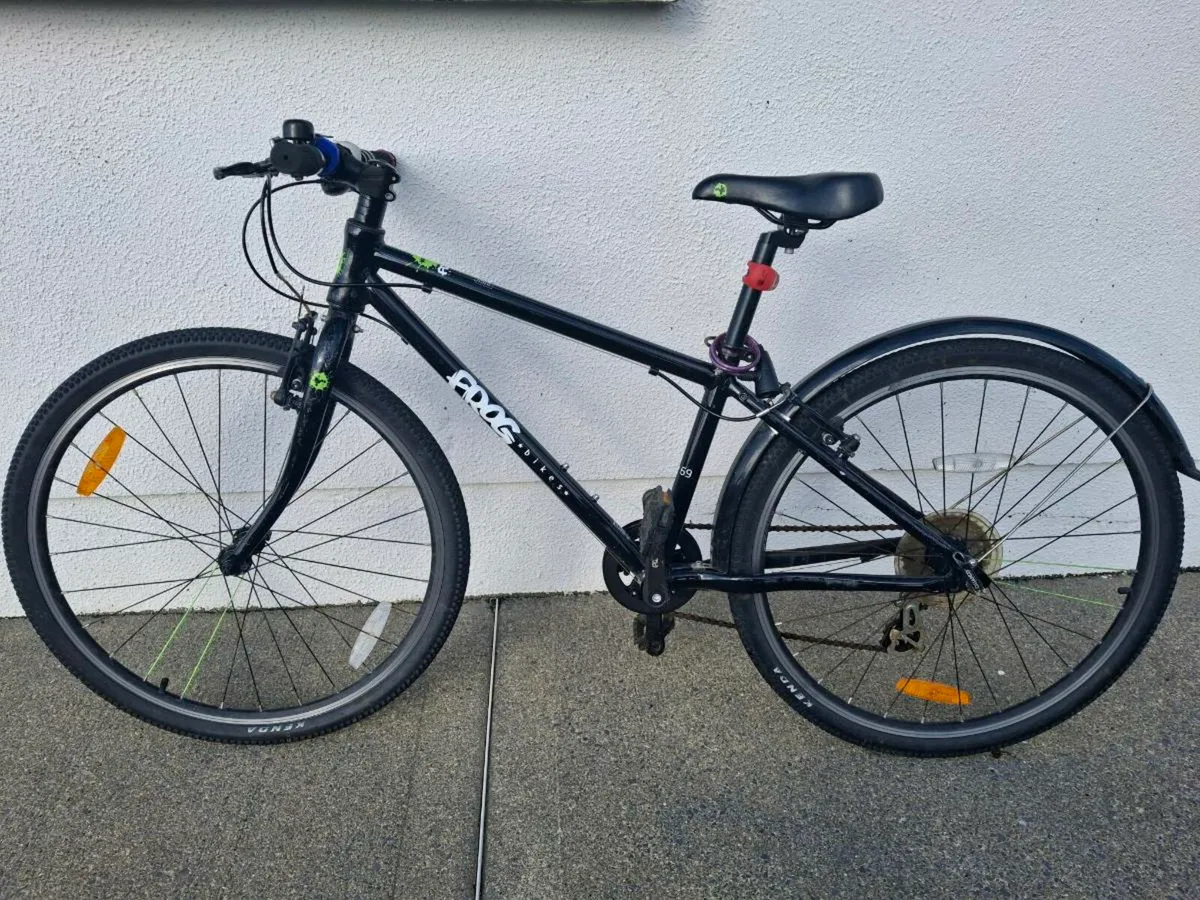 Frog Bike 69 - Image 1