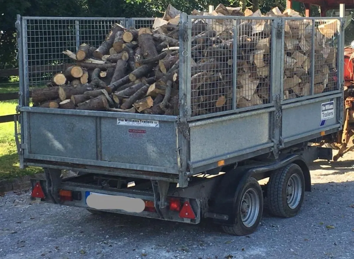 Ifor Williams tipper trailer TT105G 10 x 5.5 - Image 4