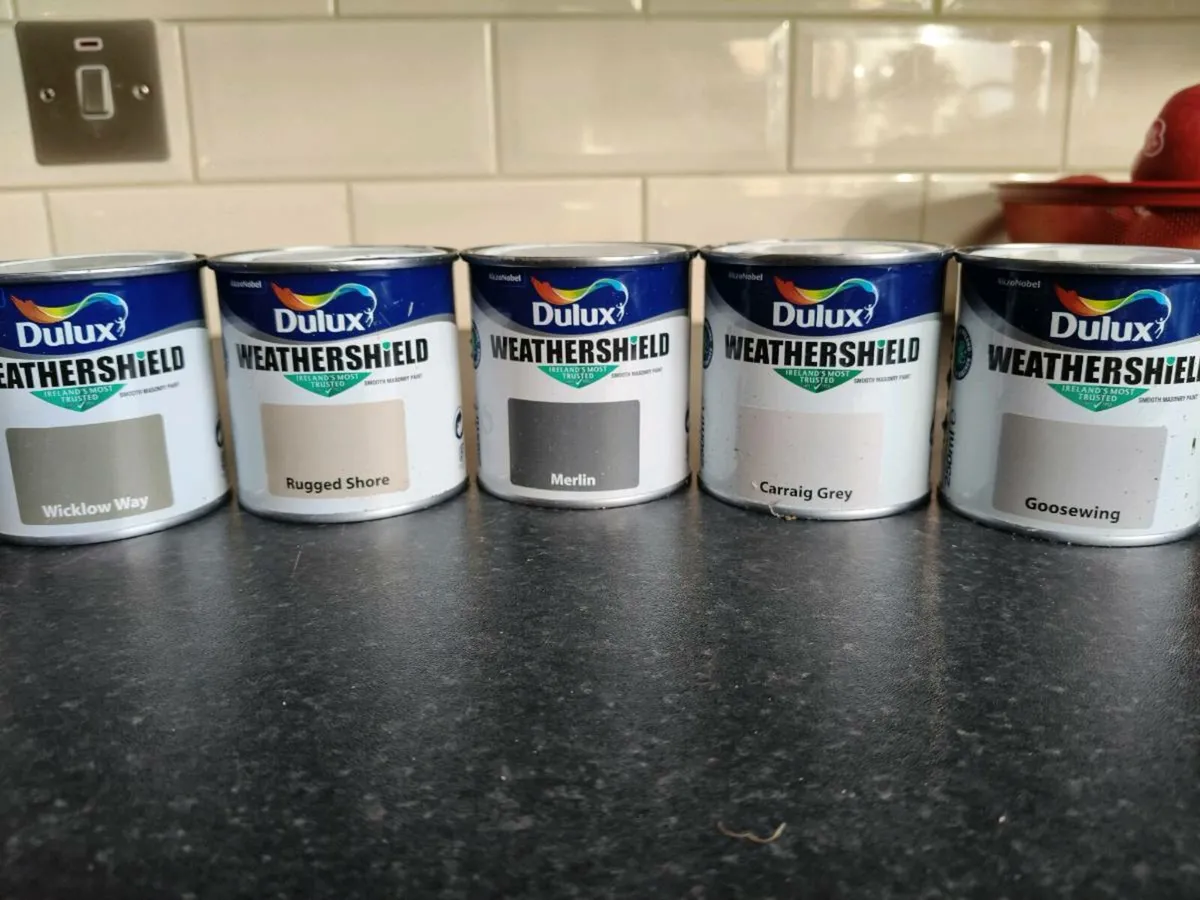Exterior paint tester pots - free