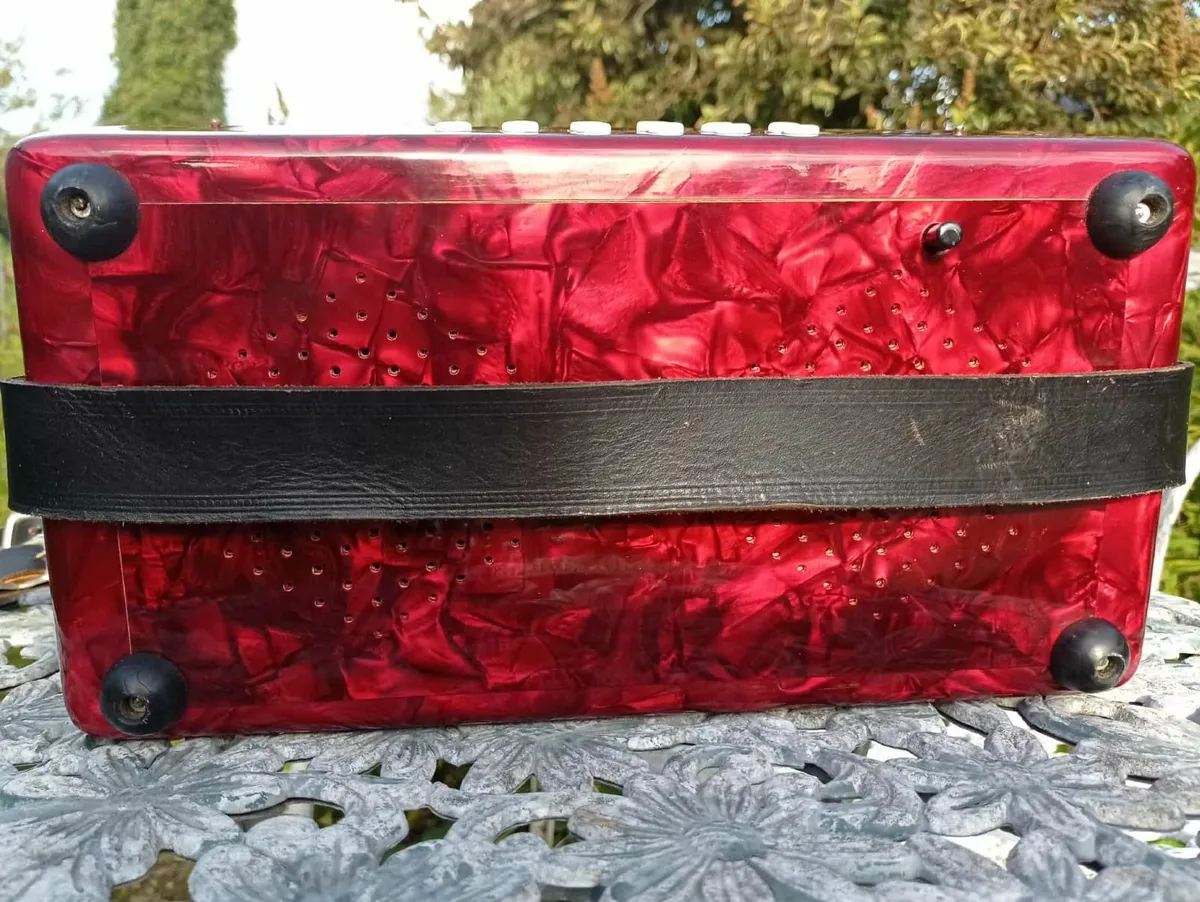 A-D-G Weltmeister Accordion + case - Image 3