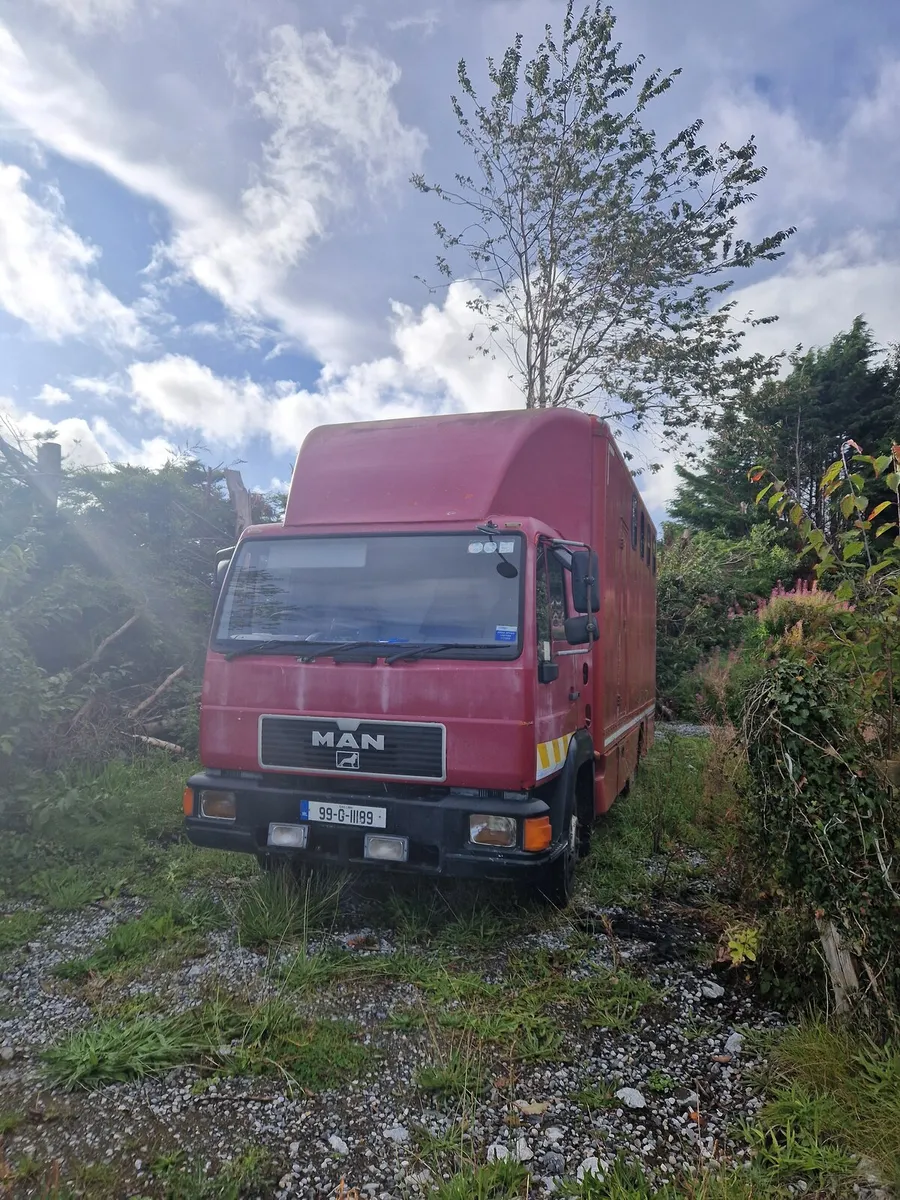 Man 7.5t Horse truck - Image 1