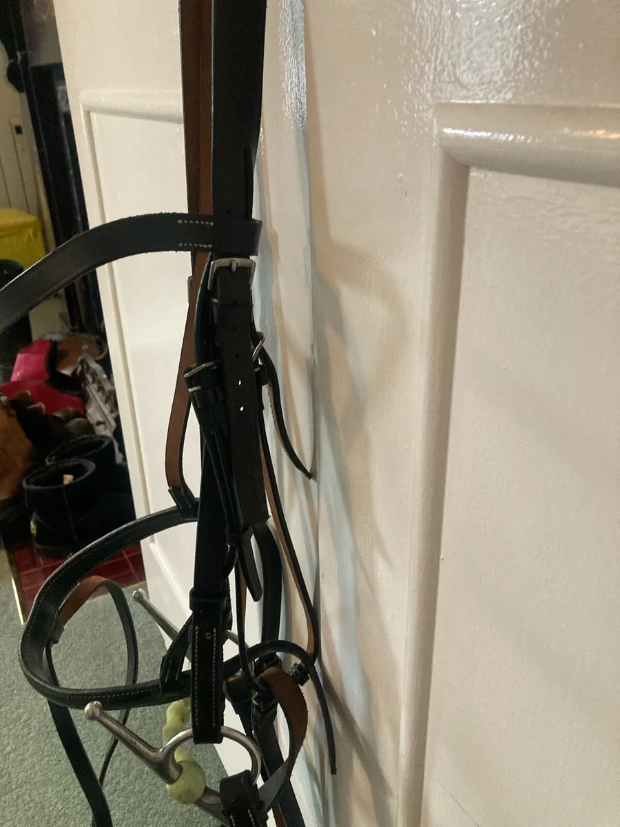 Berneys comfort Bridle - Image 1