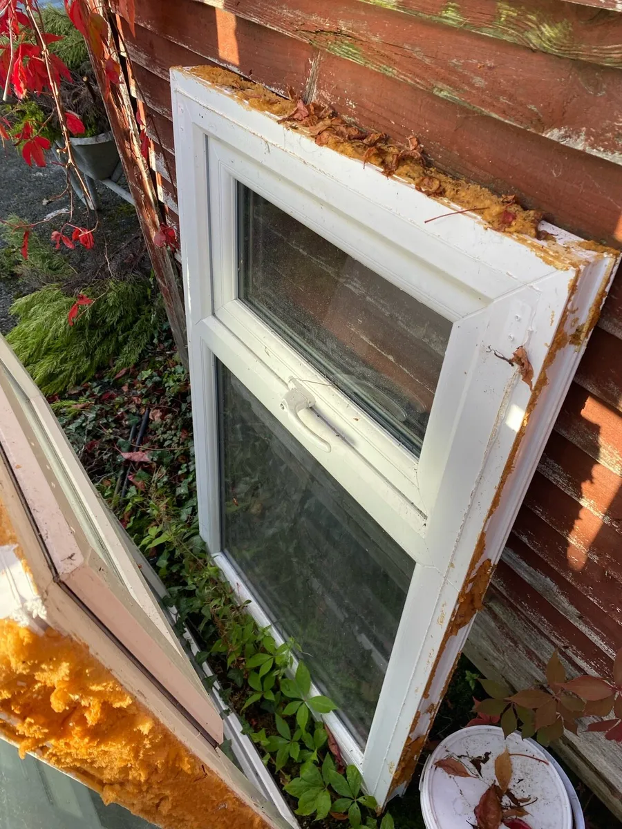 house windows - Image 1