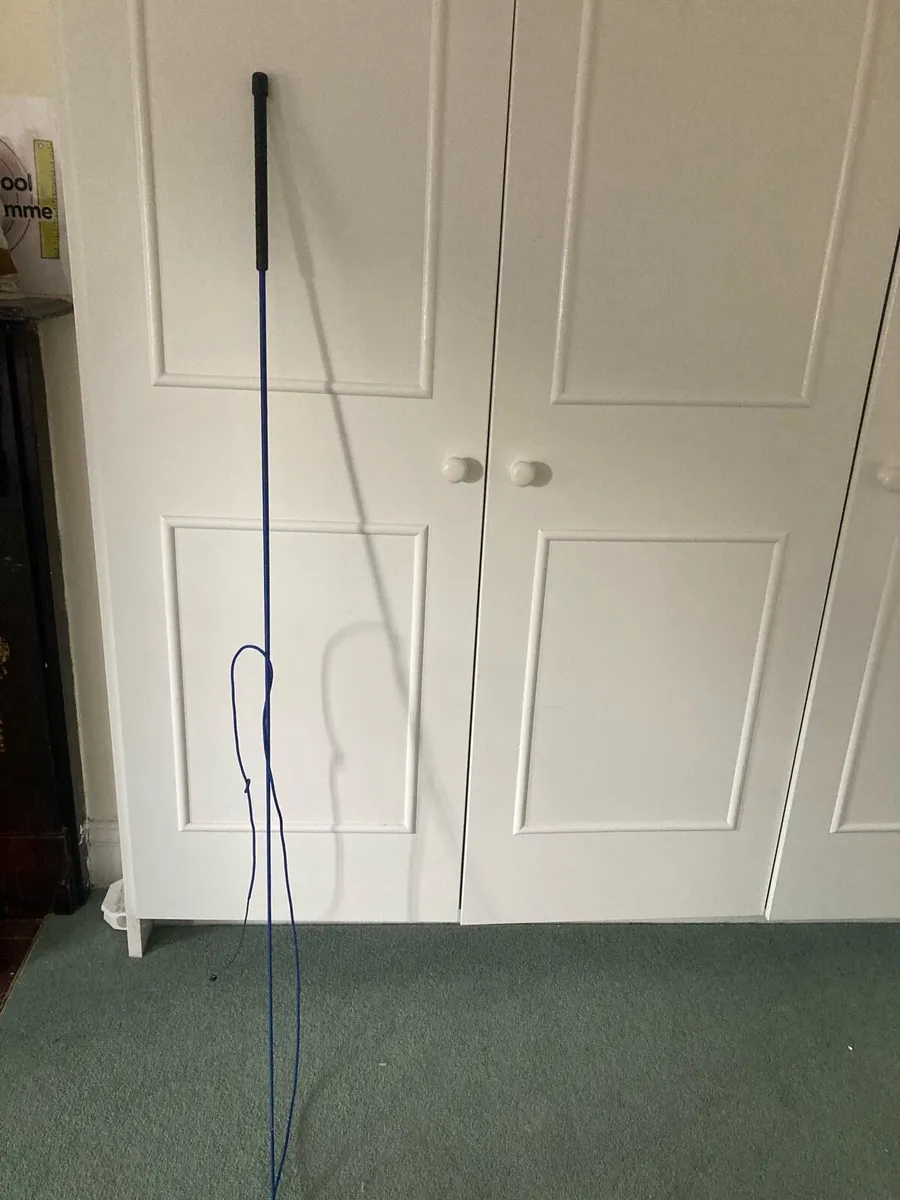 24ft Black Padded Lunge rein head collar and whip - Image 1