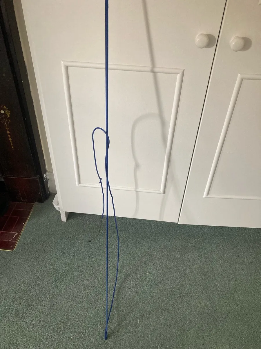 24ft Black Padded Lunge rein head collar and whip - Image 2