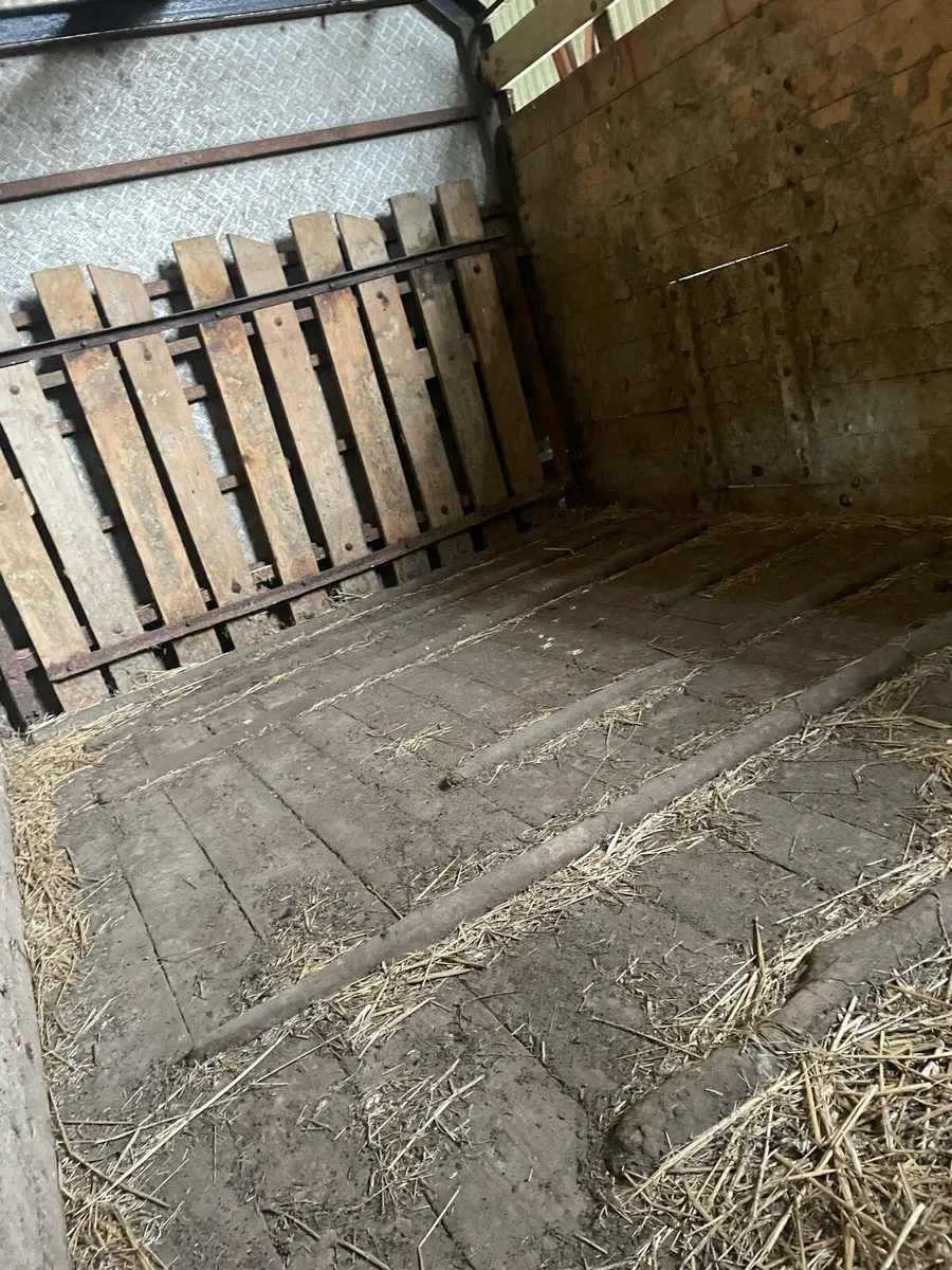 Cattle trailers - Image 4