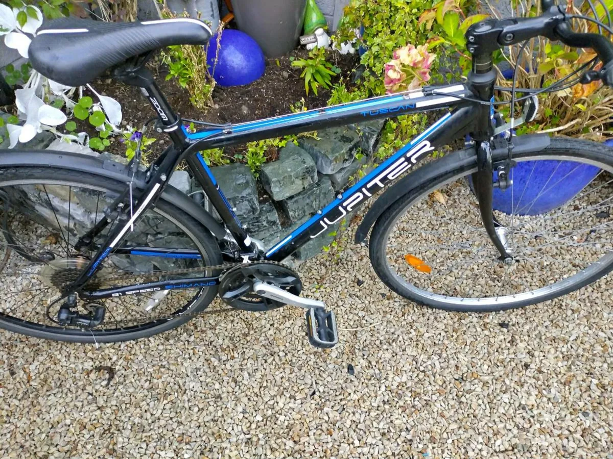 Bike - Image 1