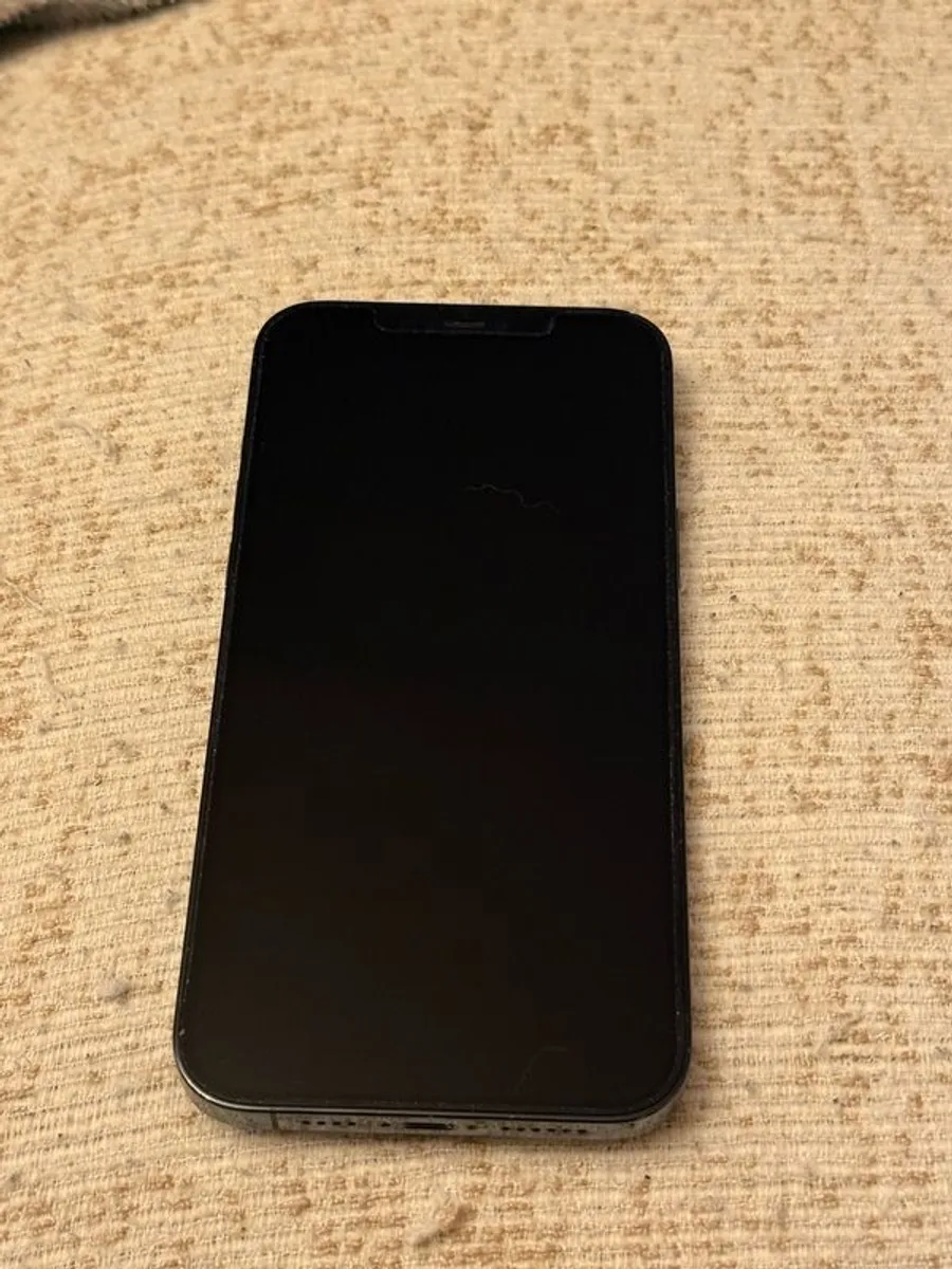 iPhone 12 Pro Max pacific blue - Image 3