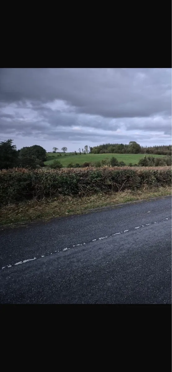 Hedge cutting available