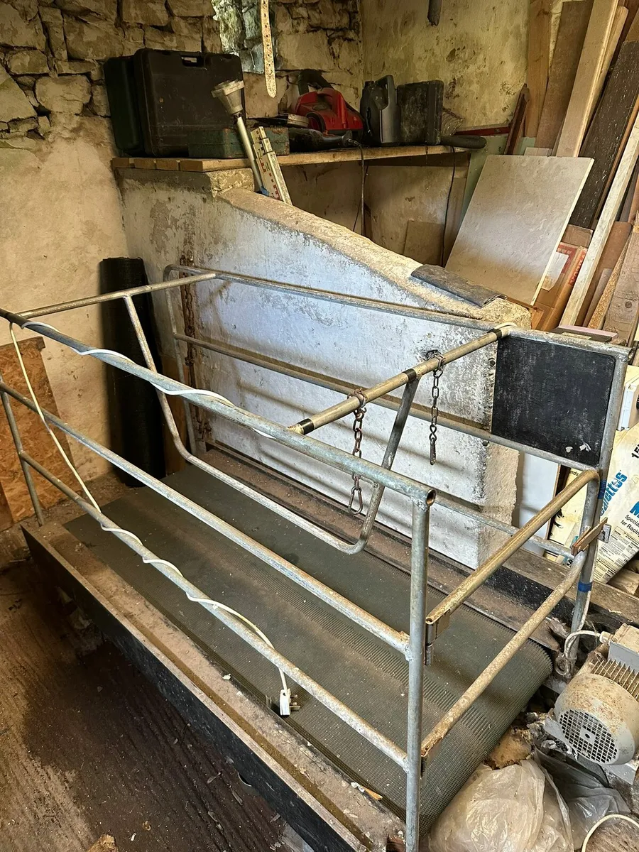 Dog walking treadmill - Image 1
