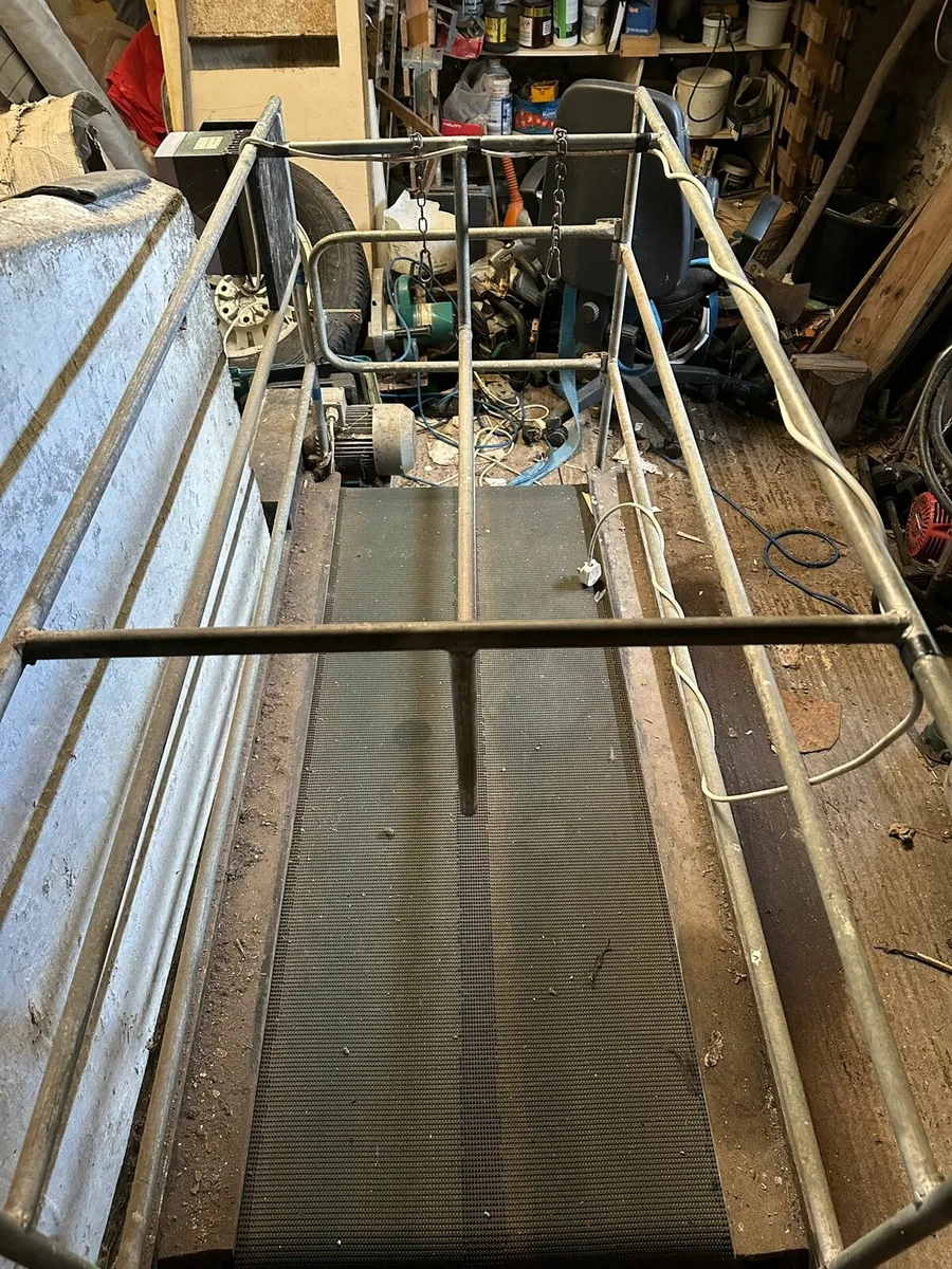 Dog walking treadmill - Image 2
