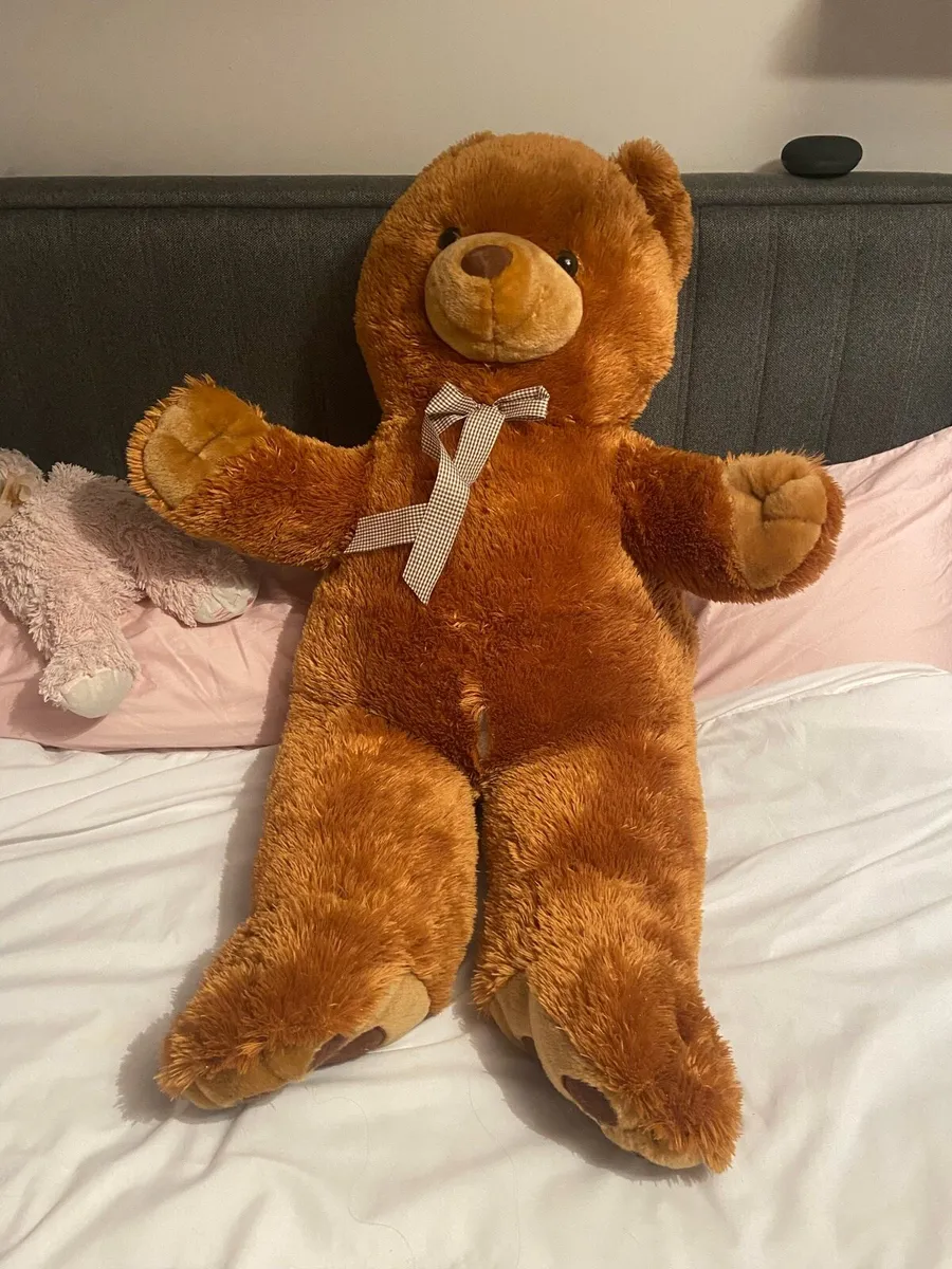 Teddy - Image 1