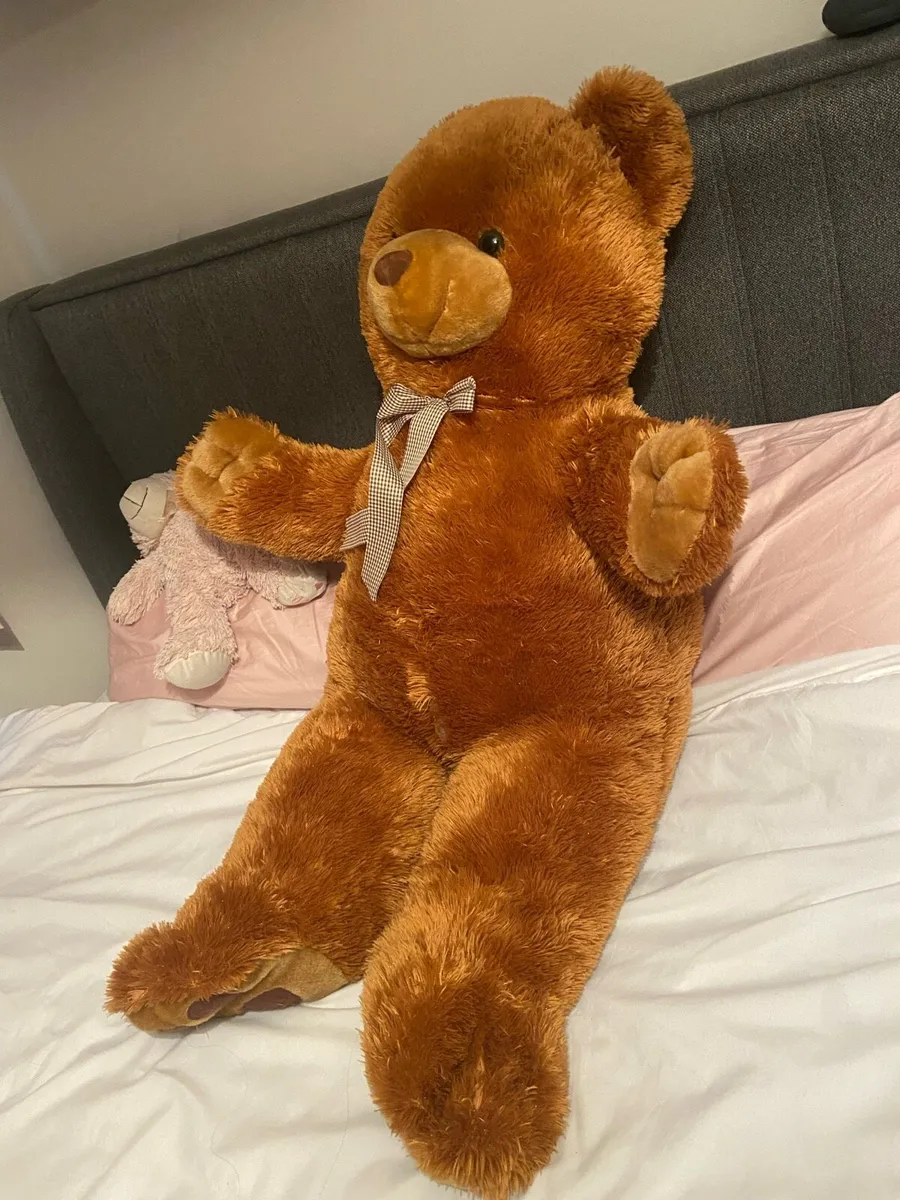 Teddy - Image 2