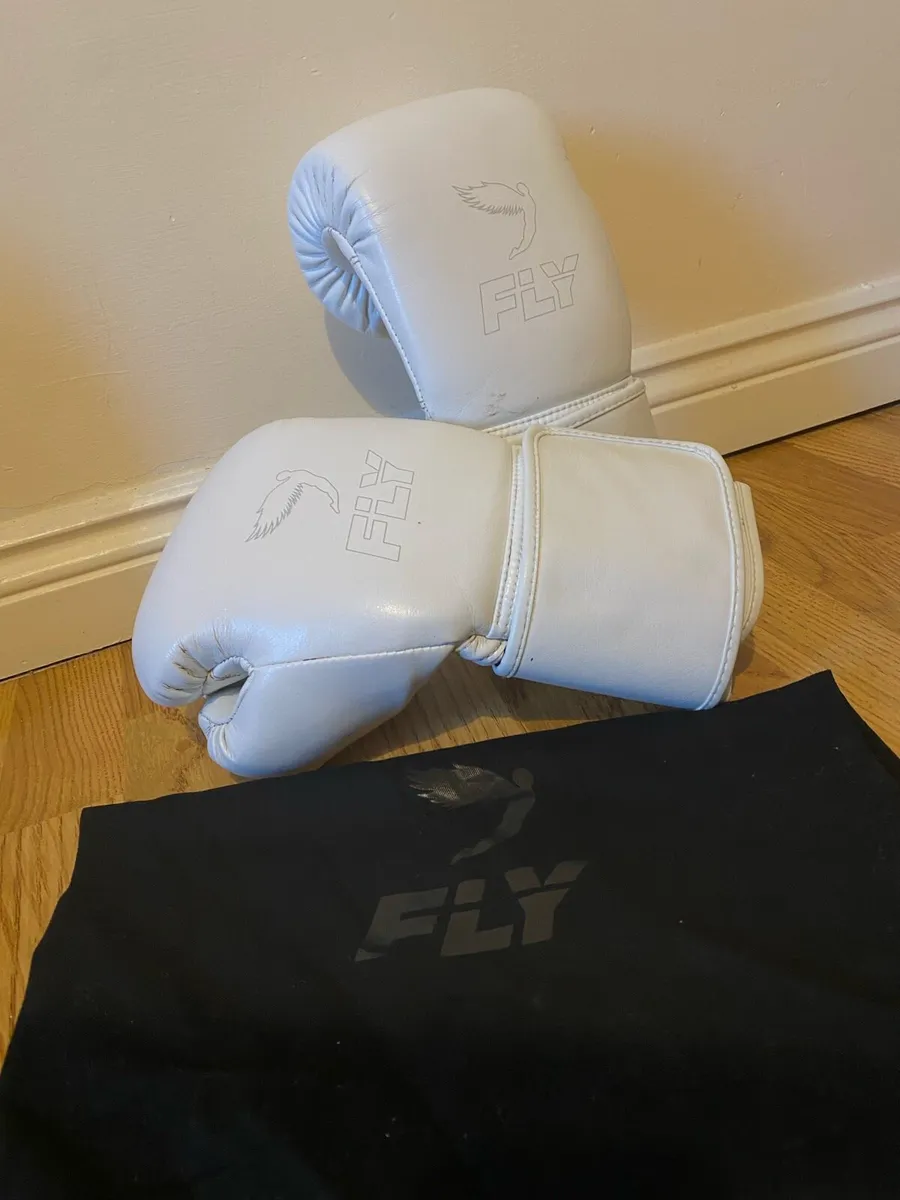 Fly Boxing Gloves 14oz - Image 1
